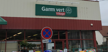 Gamm vert